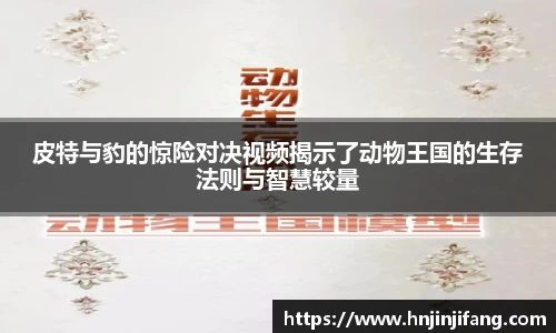 8868体育赛事直播